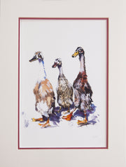 Runner ducks limited edition print