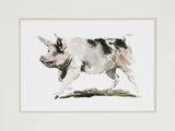 Running pig, limited edition print