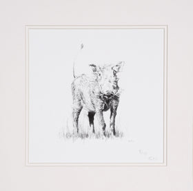 Warthog limited edition print