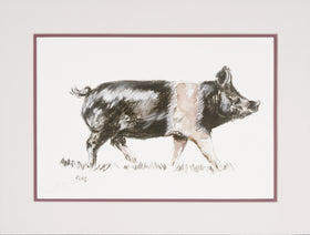 Trotting pig limited edition print