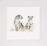 Cheetah pair limited edition print colour