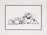 Elephant push along limited edition print