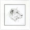 Lioness limited edition print